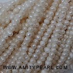 330087 potato pearl about 1.5-2mm.jpg